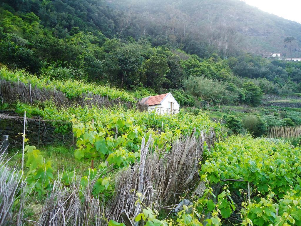 Villa A Casa Estrelícia-Dourada Garcês São Vicente Exterior foto