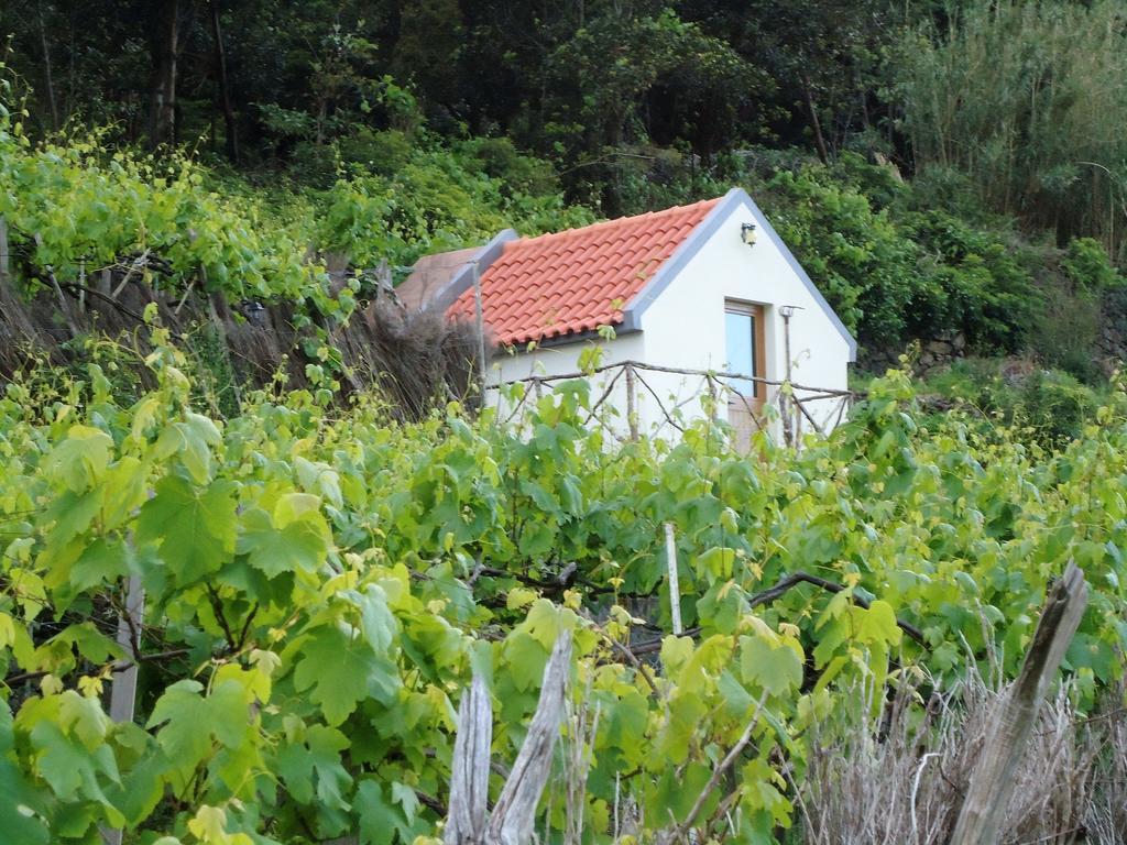 Villa A Casa Estrelícia-Dourada Garcês São Vicente Exterior foto