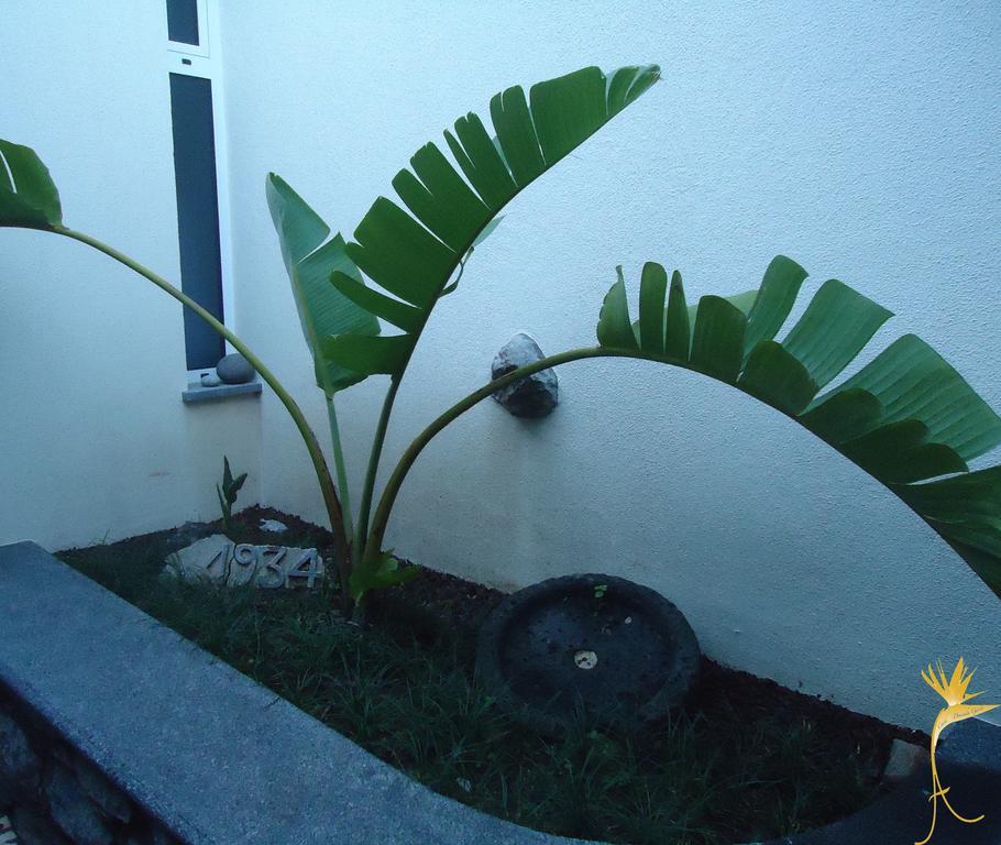 Villa A Casa Estrelícia-Dourada Garcês São Vicente Exterior foto