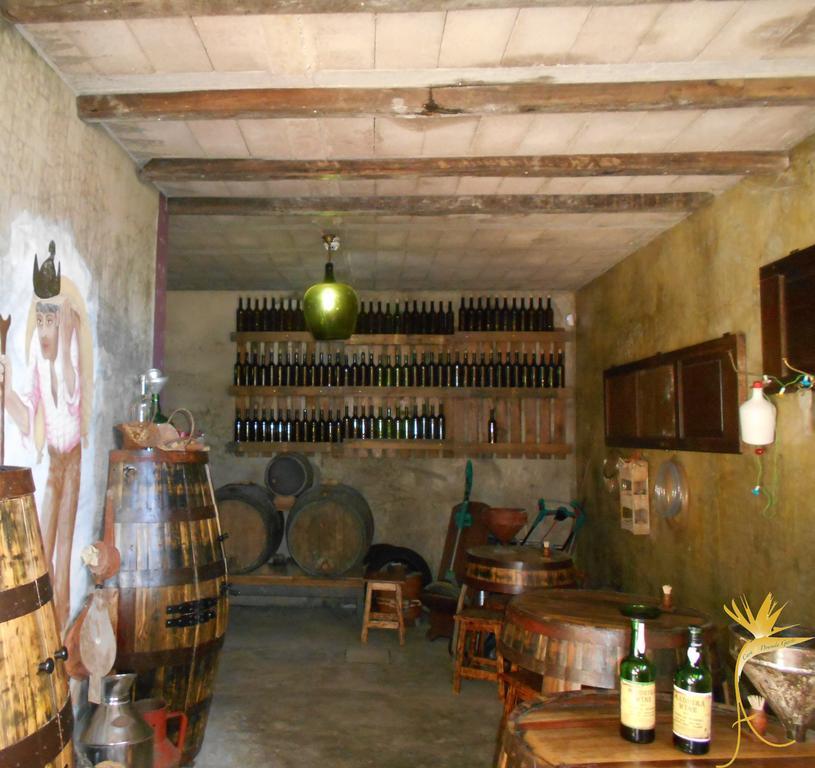 Villa A Casa Estrelícia-Dourada Garcês São Vicente Exterior foto